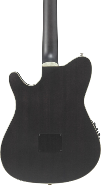 Ibanez Signature Tim Henson TOD10N, Sitka Fichte massiv/ Sapele, Pickup, Cutaway, Slimline